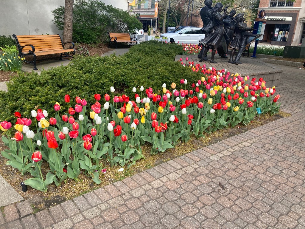 Tulip City Brewstillery