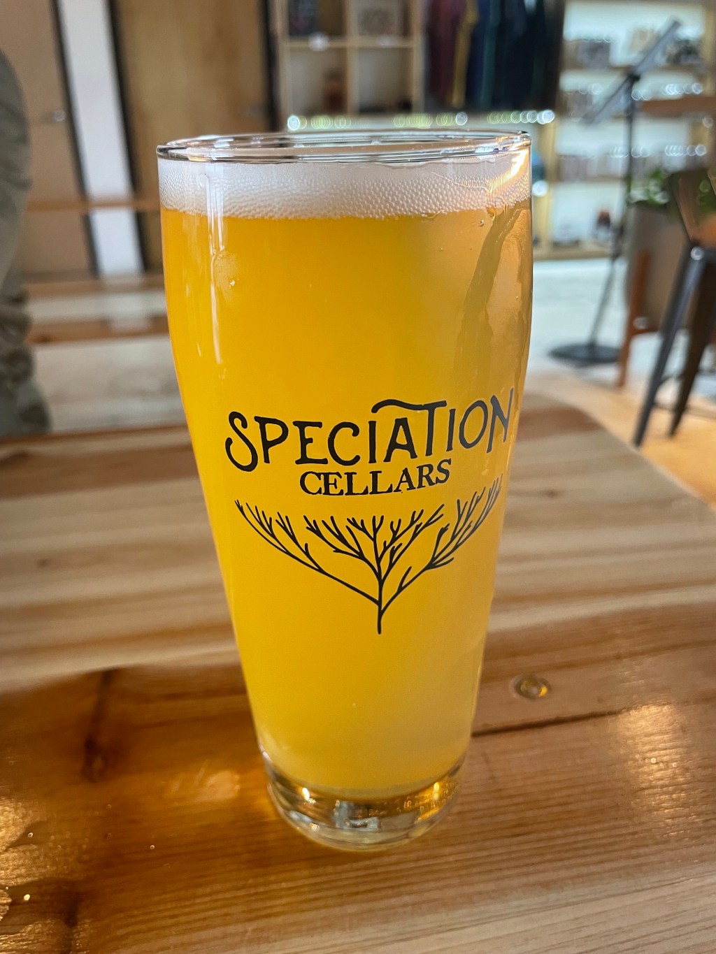 Speciation Cellars
