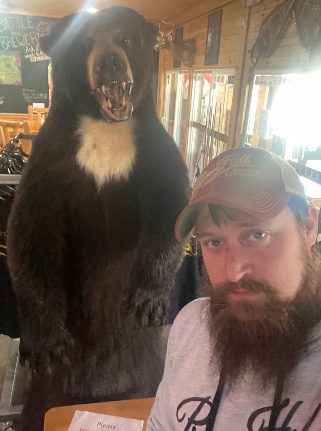 Dead Bear Brewing&nbsp;Company